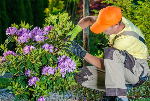 Gardener working in a Crouch End front garden