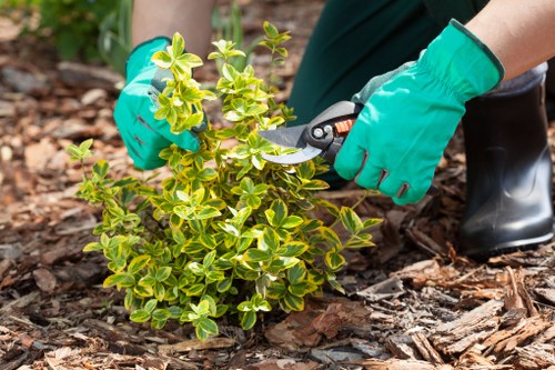 Recycling bins and sorted garden materials in a sustainable rubbish gardening area