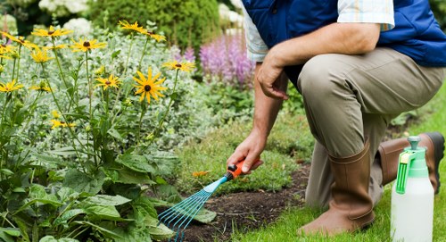 Seasonal planting and tidy-up in a local communal garden