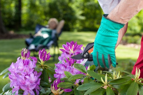 Investigator reviewing garden work and tools on site