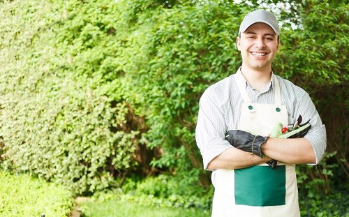 Seasonal lawn care tips for a healthy garden