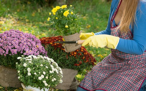 Crouch End gardener designing a modern landscape
